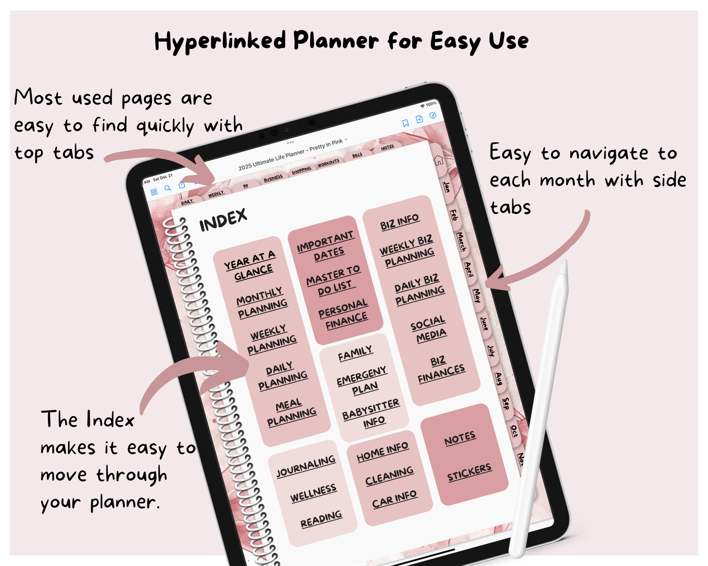 2025 Ultimate Life Planner ~ Pretty in Pink