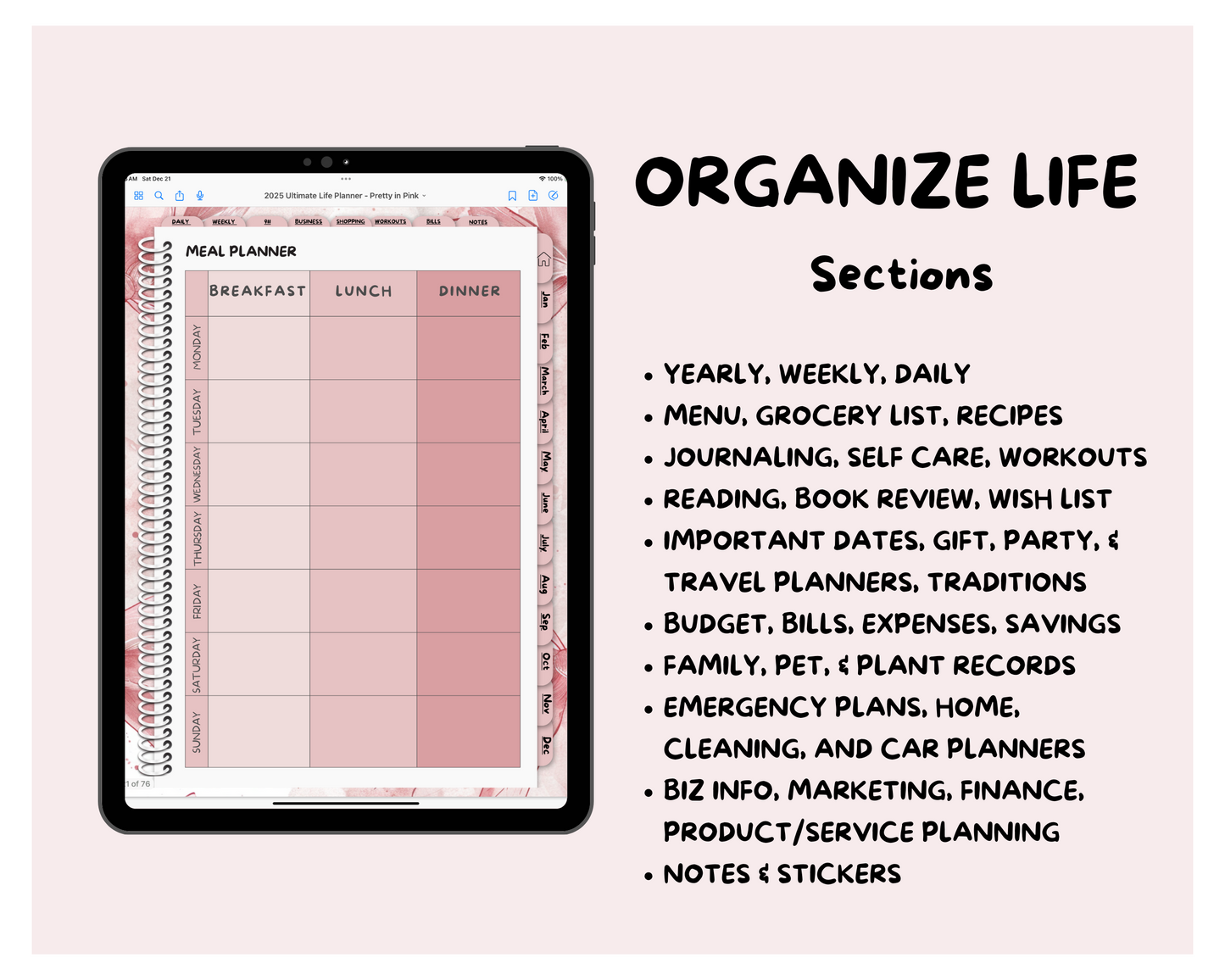 2025 Ultimate Life Planner ~ Pretty in Pink