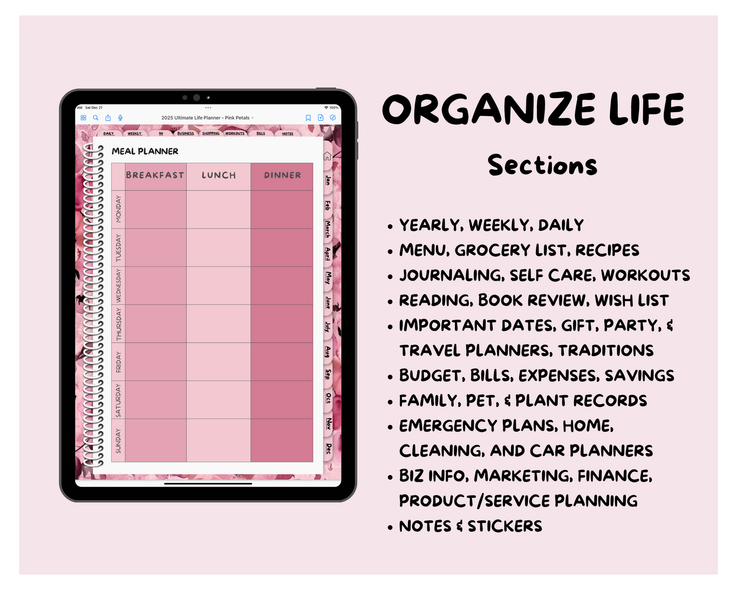 2025 Ultimate Life Planner ~ Pink Petals